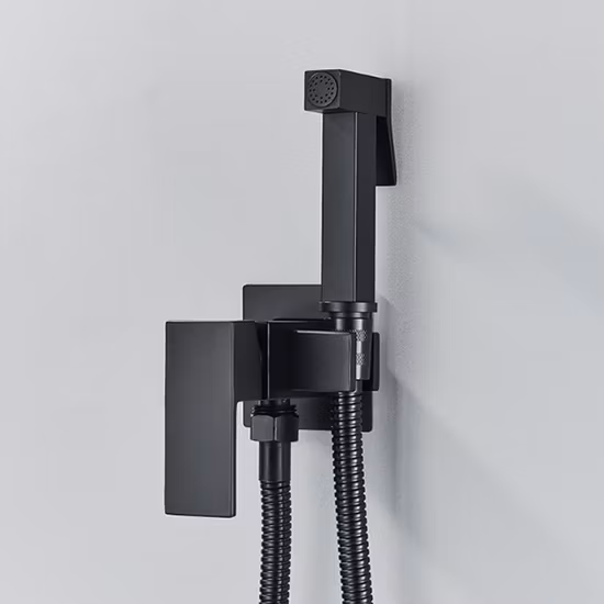 Accesorios de baño Latón cromado Inodoro Baño Bidé Spray