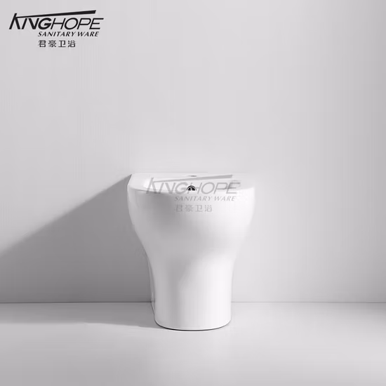 Good Prize bidé de latón con cromado para baño08