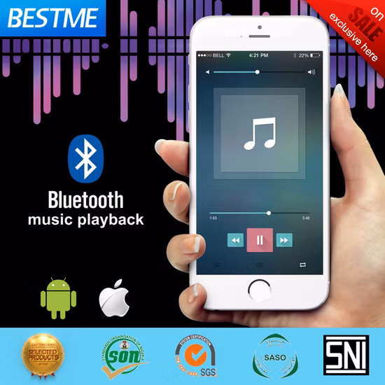 Ducha de gran tamaño de fábrica Cerling 600X800 Música Acero inoxidable LED Techo Ducha de lluvia Cascada Grifo de ducha superior (BMC-9049D)