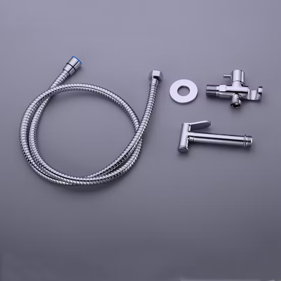 Grifo de bidé de mano con rociador de inodoro cromado de latón